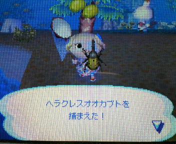 ヘラ～