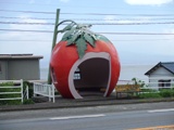 DSCF0488.JPG
