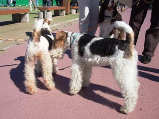 DSCF0831.JPG