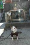 小間口