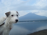 fuji2