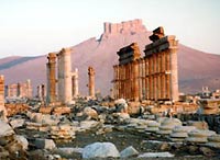 The Site of Palmyra★