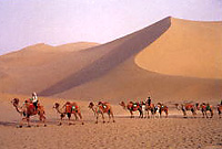 The Line of Caravan