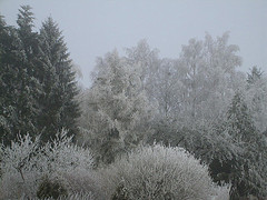 Mountain covered with snow