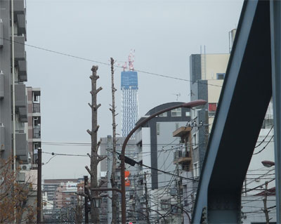 SkyTree_ohgibashi.jpg