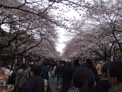 ueno_park.jpg