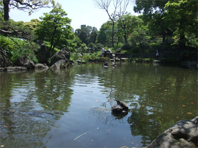 KiyosumiGarden-with-Turtle.jpg