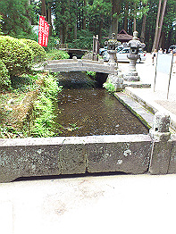 DSC_00720001.jpg