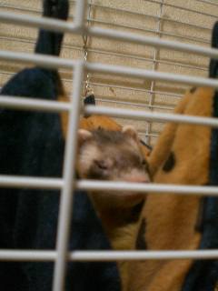 コピー ～ CIMG1472.JPG