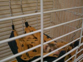 コピー ～ CIMG1473.JPG