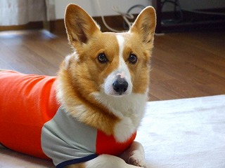 DSCF5107.jpg