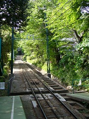 P1050683.jpg