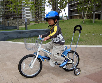20080928a.jpg