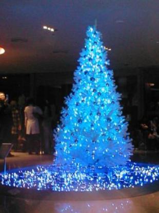 カレッタ４６－２