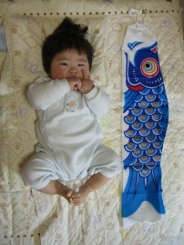 ﾏﾘｵと鯉のぼり