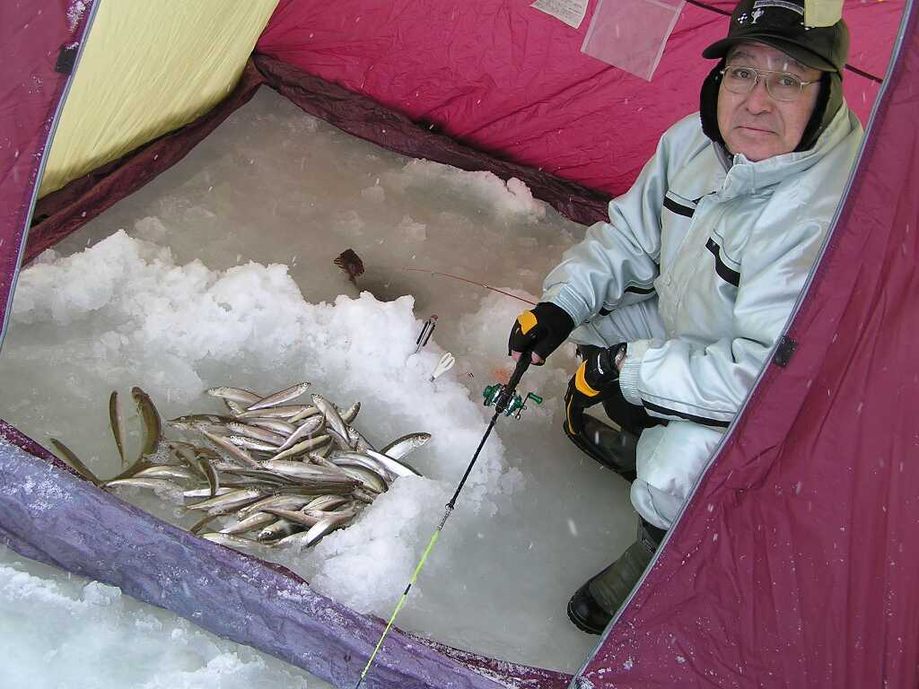 大きいのが釣れました