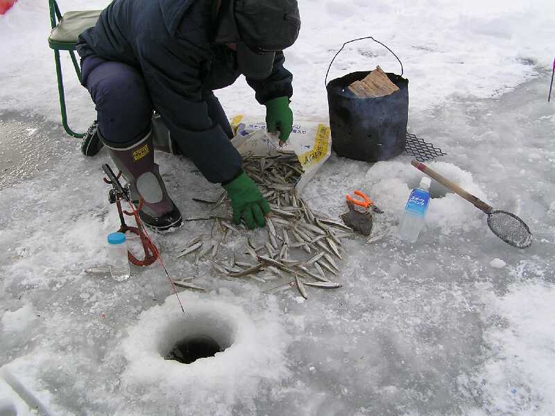 釣れたなー