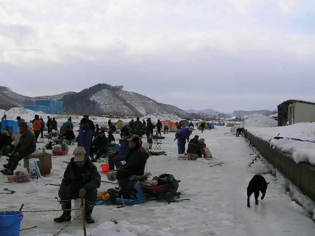 全景＋犬