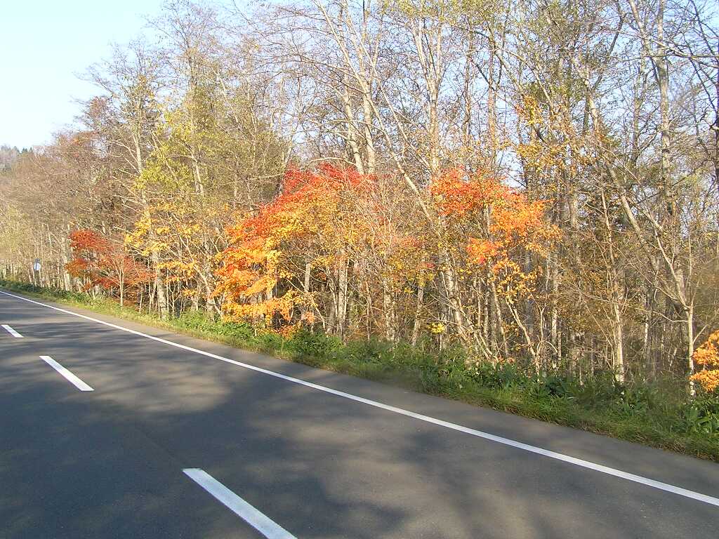 湖畔の紅葉