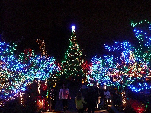 バンデューセン１