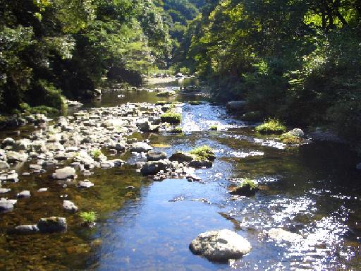 07年10月 京都嵐山 神護寺 よこはまにあ雑貨大好き 楽天ブログ