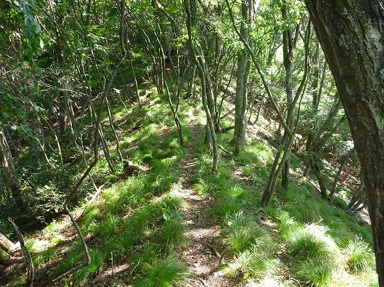 太郎山天王山コースを歩く | 信州里山クラブ 明日晴れたら山へ行こう！ - 楽天ブログ