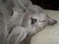 ブログ20051102 (5)-555.JPG
