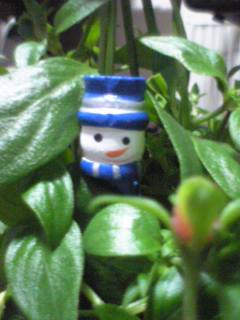 hana1