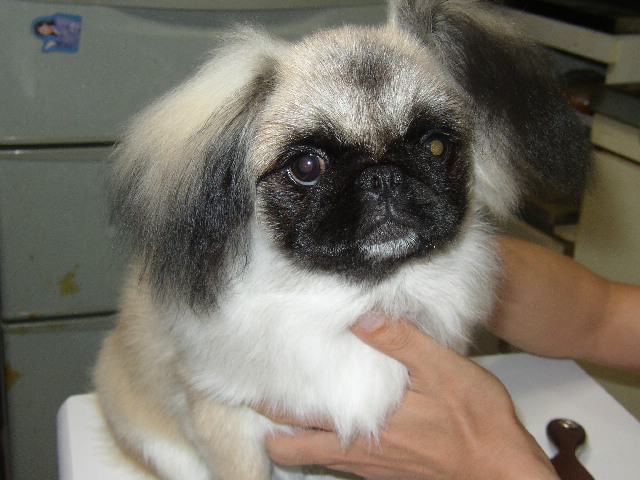 （￣ー+￣）ふっ！