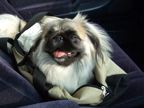 腐っているのですか？