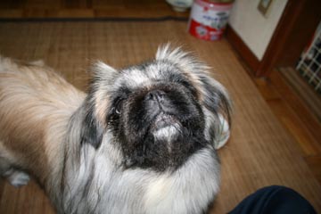 それ見たことないでぇ