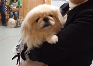 ママにだっこされたパティちゃん