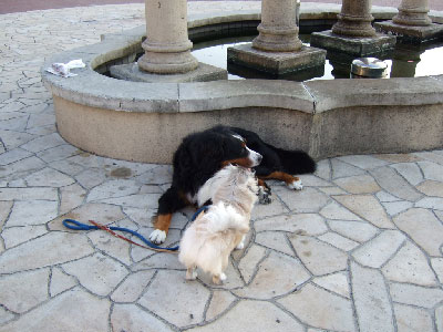 ジョンとララ２