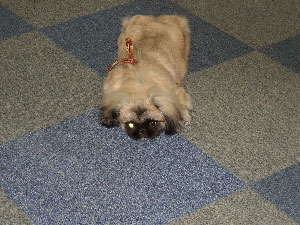 疲れてしまいました