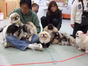 ようわからんけど