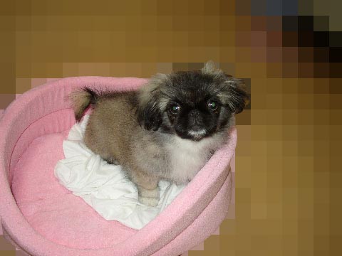 汚い足削除しました(=^^=)ニョホ