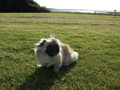 風強いねん！！