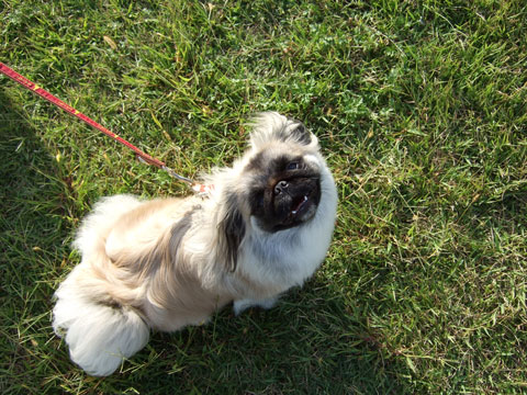 行っていいの？？