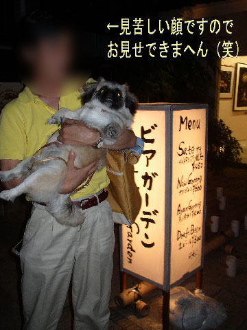 ジャイペキへまっしぐら!!