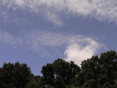 夏の空.JPG