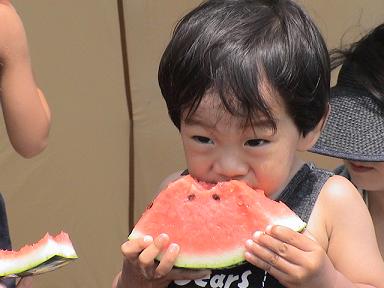 ハル夏スイカ.JPG