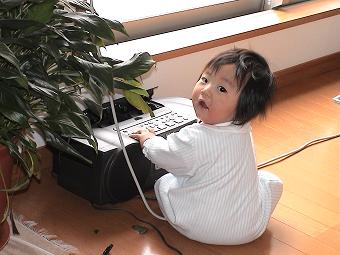 生後半年くらいのハル.JPG