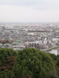 2010112815500000.JPG