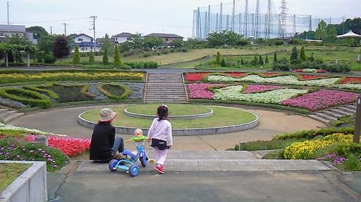 お花畑やぁ♪