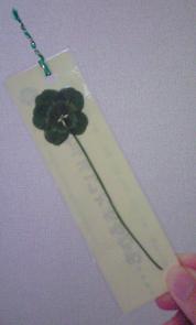 090613クローバーしおり２