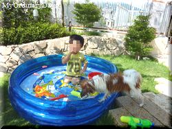 110815pool