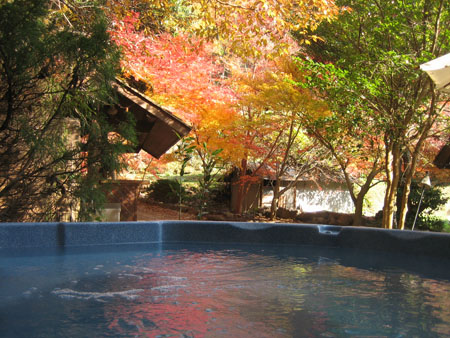 露天風呂からの紅葉.jpg