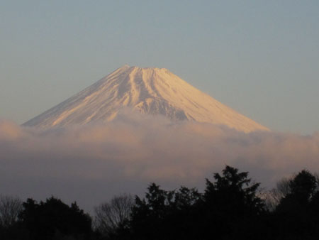 スターヒルズから見える富士山.jpg