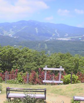 SAからの眺め・・・目の前の山はスキー場