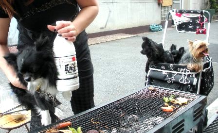 蘇化子ＢＢＱ